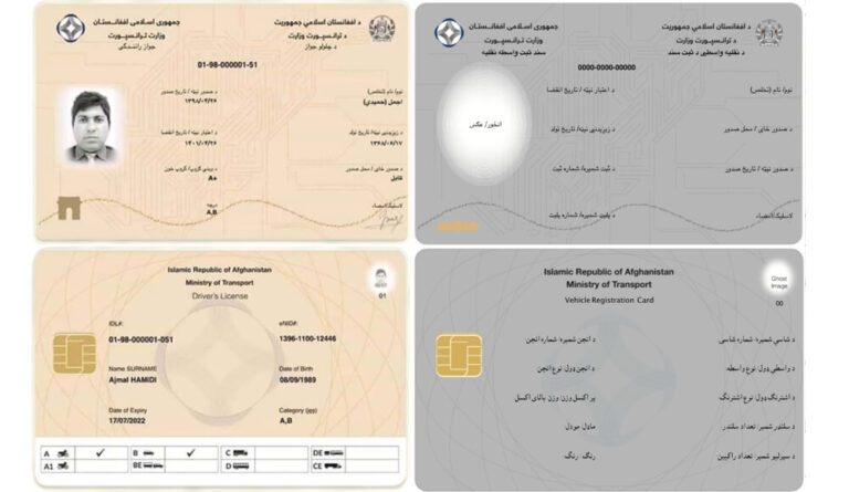 Driving License & Vehicle Registration Systems